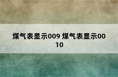 煤气表显示009 煤气表显示0010